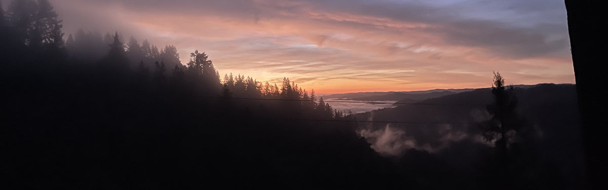 Sunset over forested ridges and fog